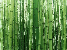 подвесные потолки из бамбука, описание